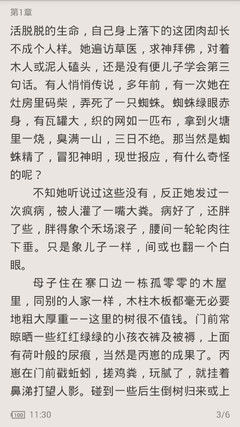 菲律宾人去中国从事教师行业办理什么签证？